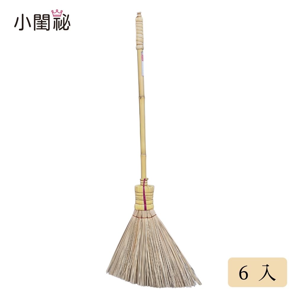 【潔園】編織爪哇掃6入