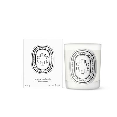 Diptyque 南瓜香氛蠟燭 190g (2023限量)