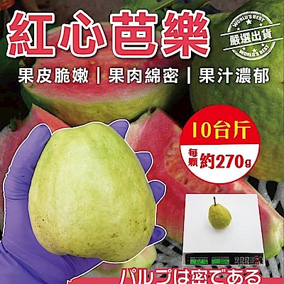 【天天果園】彰化溪洲草生栽培 紅心芭樂(10斤/箱)