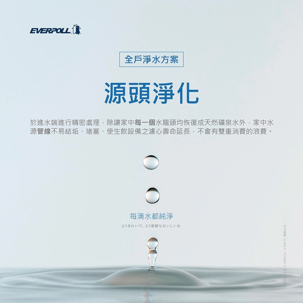 EVERPOLL愛科濾淨 FH-301 - 詳情8