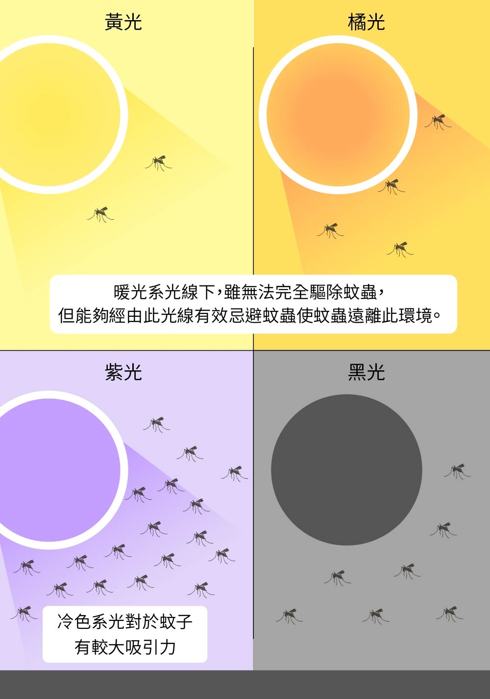 DigiMax UP-11R - 詳情9