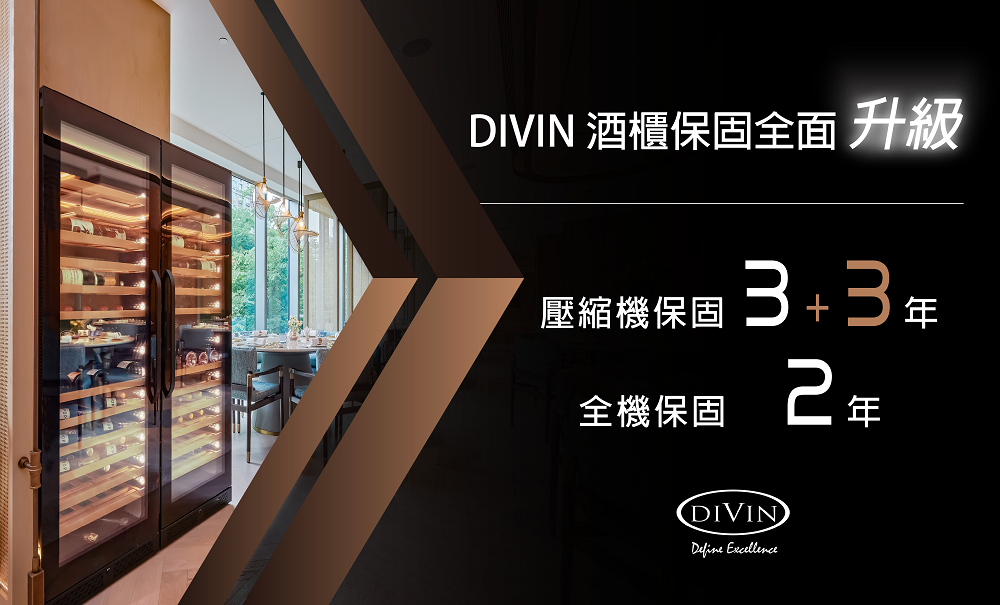 DIVIN DV-568DS - 詳情1