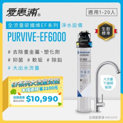 EVERPURE愛惠浦 櫥下型 PURVIVE-EF6000大流量不鏽鋼龍頭生飲淨水器