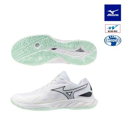 【MIZUNO 美津濃】 WAVE FANG EL 2 羽球鞋 71GA242315(羽球鞋)