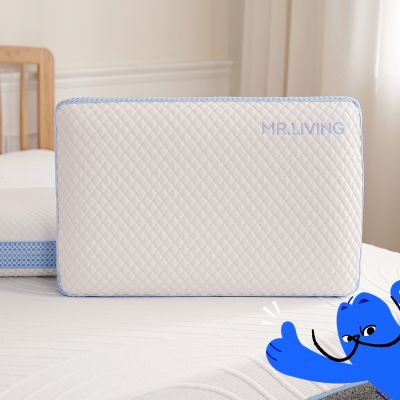 MR. LIVING 居家先生 買一送一 減壓記憶枕系列/枕頭任選 (涼感枕/蝶型枕/高低枕)