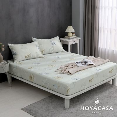 HOYACASA 60支天絲枕套床包三件組- 萍葉芝芯(雙人)
