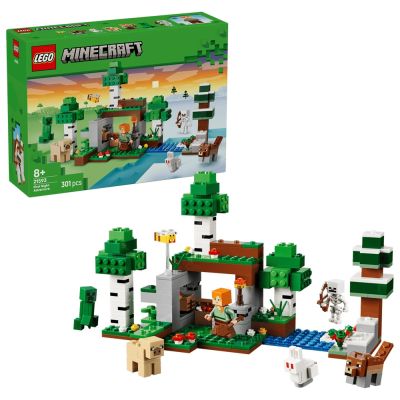 樂高LEGO Minecraft系列 - 21593 第一夜冒險