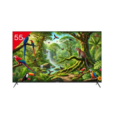 TATUNG大同 55型 4K 智慧顯示器 UH-55UG900A