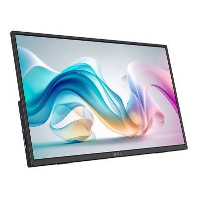 MSI微星 PRO MP165 E6 16型 FHD 60Hz IPS商用 可攜式螢幕