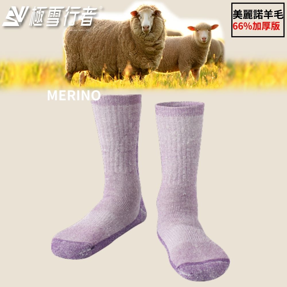 [極雪行者] SW-MRN01/三雙組/美麗諾羊毛66%襪身襪底超厚長統厚型羊毛保暖襪 (紫色)