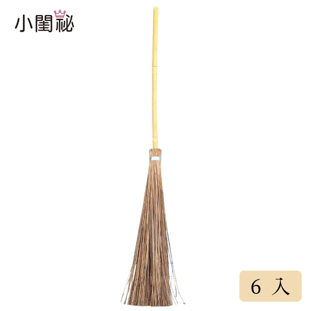 【小閨祕】日式戶外掃6入