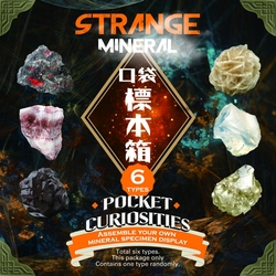方孔石　奇石　珍石　岩石標本 賽先生科學口袋標本箱-奇石系列(六款隨機出貨) | 科學玩具| Yahoo購物中心