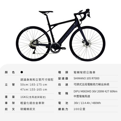 【DOSUN】電動輔助自行車 RT100 47CM 油壓碟 香檳金 送安裝(車麗屋)