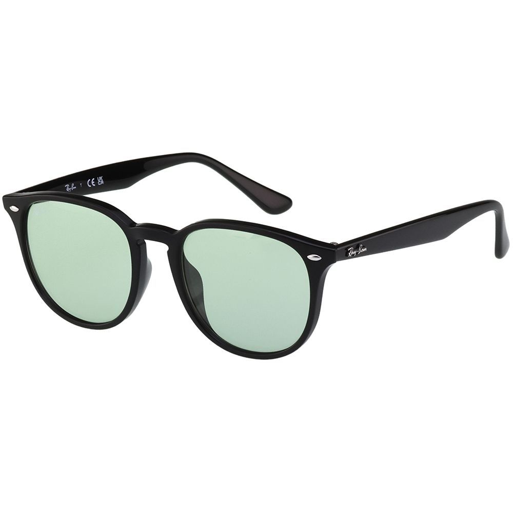 RAY BAN 太陽眼鏡 (黑色) RB4259F