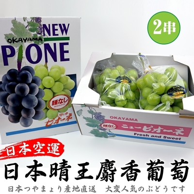 【天天果園】日本岡山晴王麝香葡萄2房禮盒(每串600-700g)