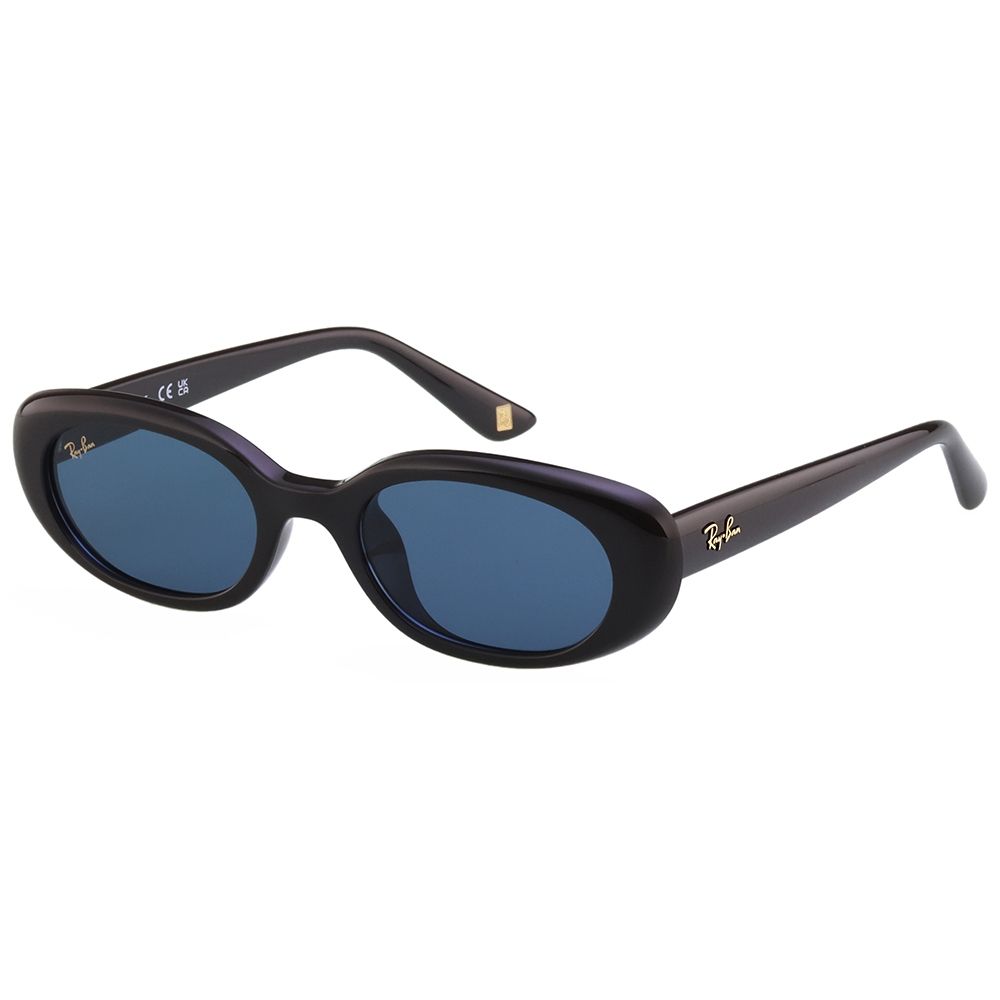 RAY BAN 馬年限量款 太陽眼鏡(黑色)RB4441D-6868