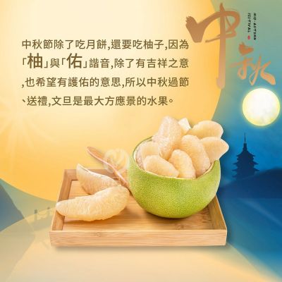 【初品果】台南麻豆老欉文旦禮盒10斤7-9顆x2箱