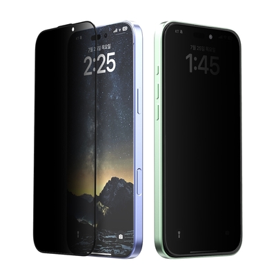 Araree Apple iPhone 16 Plus 防窺強化玻璃螢幕保護貼(2片裝)