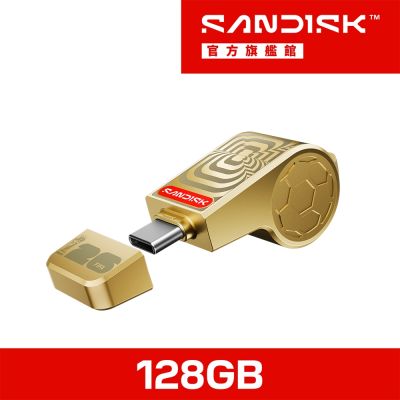 SANDISK隨身碟