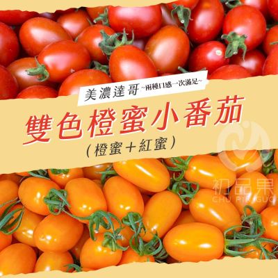 【初品果】產地直送雙色橙蜜小番茄3斤x2盒
