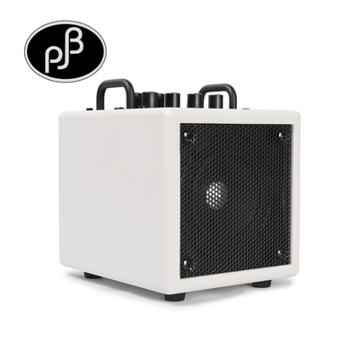 PJB NANOBASS X4