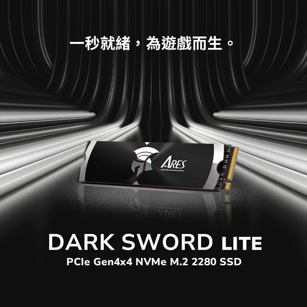 DATO 達多 Dark Sword Lite 2TB M.2 2280 PCIe Gen4x4 SSD 固態硬碟(最高達讀：7200MB/s 寫：6850MB/s)
