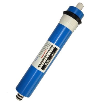 LCW 龍泉 氣泡水飲水機專用濾心  (LC-R-443 第三道)