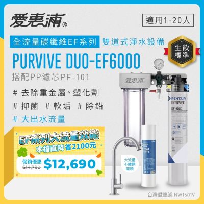 EVERPURE愛惠浦 櫥下型 PURVIVE Duo-EF6000大流量不鏽鋼龍頭兩道式生飲淨水器(前置PP)