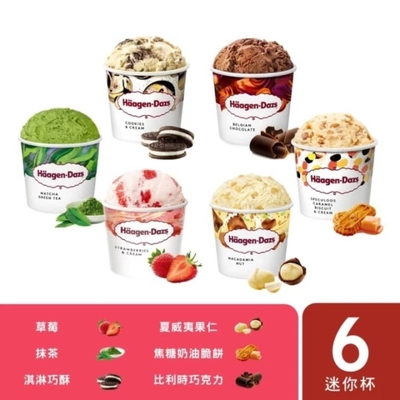 哈根達斯 極致慶禮100ml 6入組(草莓/抹茶/淇巧/夏果/焦脆/巧克力)