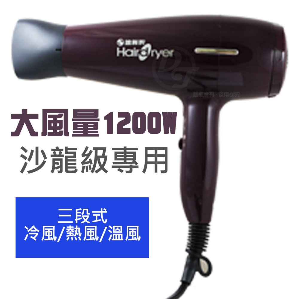 達新牌1200W沙龍級專業吹風機TS-2626 | 其他品牌| Yahoo購物中心