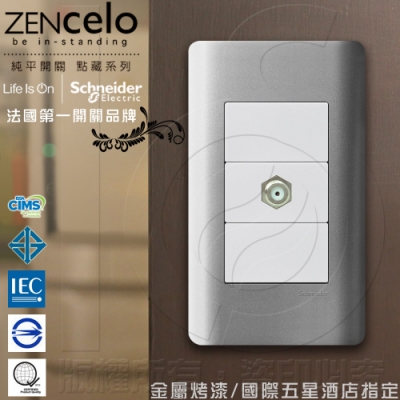 法國Schneider ZENcelo系列 埋入式高遮蔽電視插座 銀