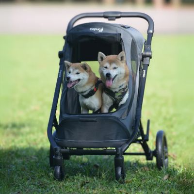 Capucci pet 卡普奇 美國 巡弋號 Cruiser II 中大型寵物推車 - 多款可選