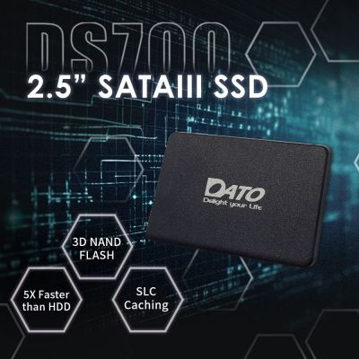 動作確認済 1TB SSD DATO DS700SSDA-1TB TBW 約7T DATO 達多DS700 1TB 2.5吋SATAIII SSD 固態硬碟(最高達讀：535MB/s 寫