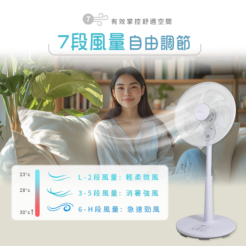 TECO東元14吋DC馬達遙控立扇XA1428BRD(加碼送USB隨身風扇) | DC