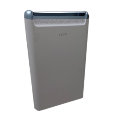 TECO 東元 東元6公升/日除濕機MD1225RW