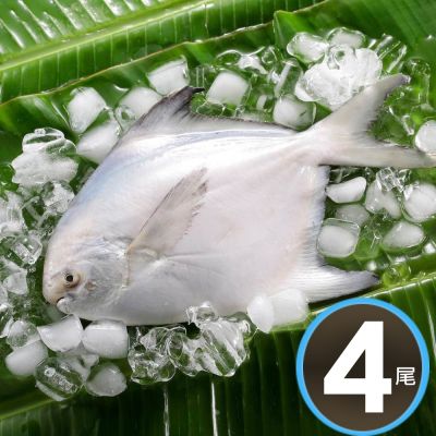 華得水產 鮮嫩野生白鯧魚4尾組(300-380g/尾)