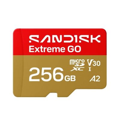 SanDisk Extreme MicroSDXC 256G 記憶卡 公司貨