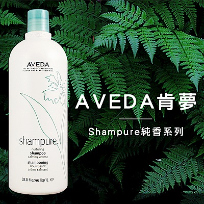 AVEDA 純香洗髮菁 1000ml