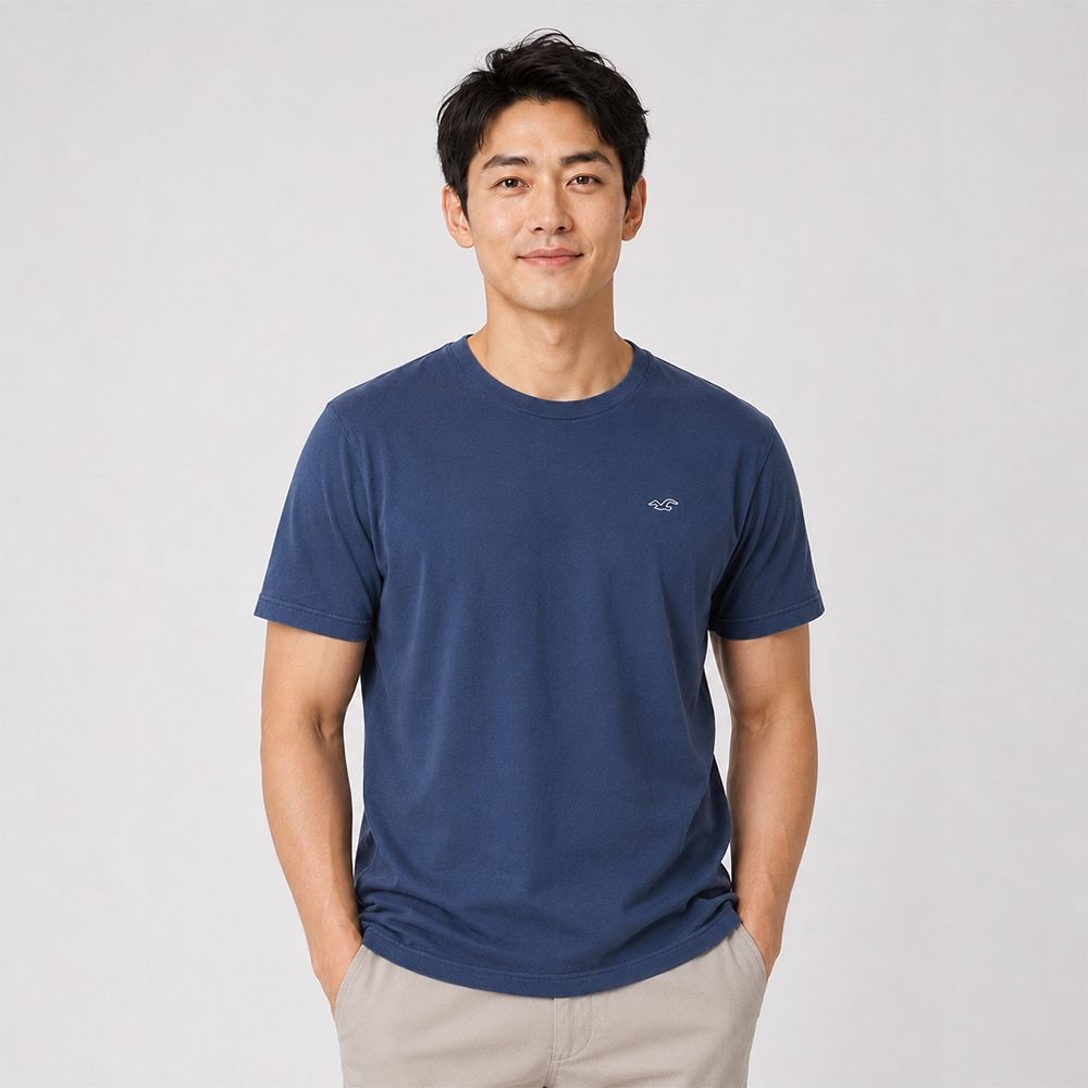 Hollister 海鷗 熱銷刺繡海鷗素面短袖T恤-深藍色