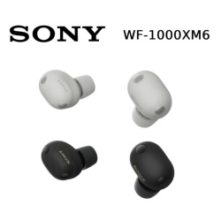 SONY WFM6