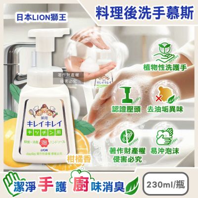 日本LION獅王-植物性除料理後油垢異味洗手慕斯230ml/按壓白瓶-柑橘香(廚房烹飪髒污泡泡洗手,去蔥蒜生鮮腥臭親膚洗手乳,手部香氛護理清潔露)