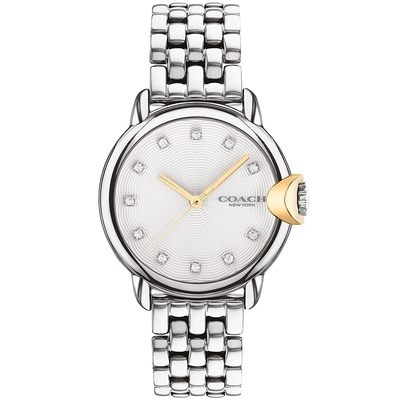 COACH Arden 水波紋晶鑽女錶 寵媽有禮 送禮首選-32mm CO14503818