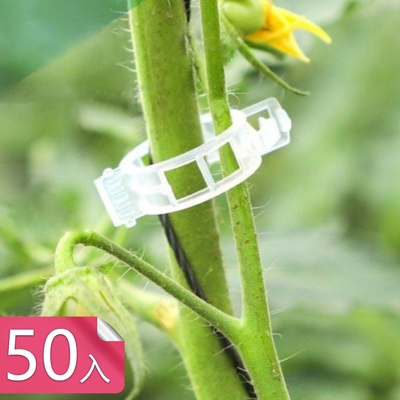 【荷生活】卡扣設計PP材質藤蔓植物固定夾 免搭架農場園藝綁藤夾-50入組