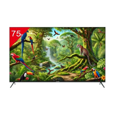 TATUNG大同 75型 4K 智慧顯示器 UH-75UG900A