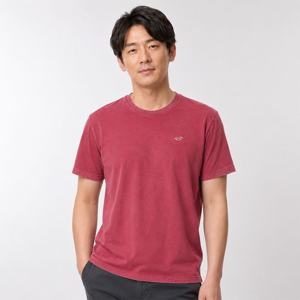 Hollister 海鷗 熱銷刺繡海鷗素面短袖T恤-酒紅色