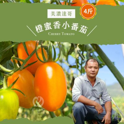 【初品果】產地直送橙蜜香小番茄4斤x2盒