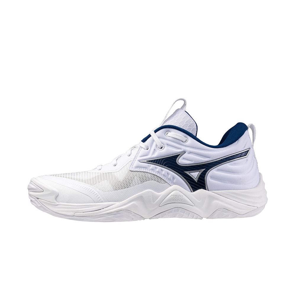 mizuno WAVE MOMENTUM ELITE 25cm 全日本　限定 MIZUNO Wave Momentum Elite V1GA2512 41 White Black Gold Width 2E