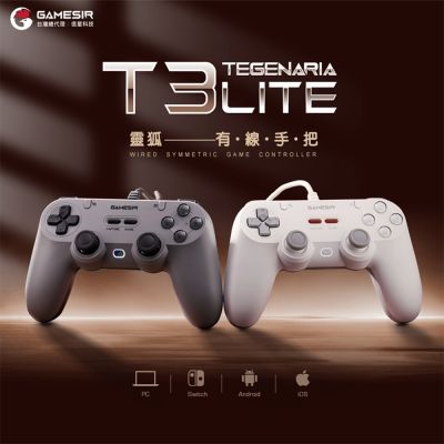 GAMESIR 蓋世小雞 T3 Lite 靈狐 有線手把 遊戲手把-簡韻白