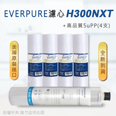【Everpure】美國原廠平行輸入H300NXT 濾心+高品質前置5uPP濾心(5支組)