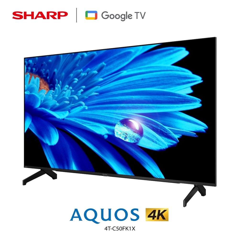 SHARP夏普42吋AQUOS 4K Google TV智慧連網液晶顯示器4T-C42FK1X | 電視
